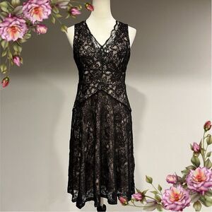 Sleeveless V Neck Lace Dress W Nude Lining